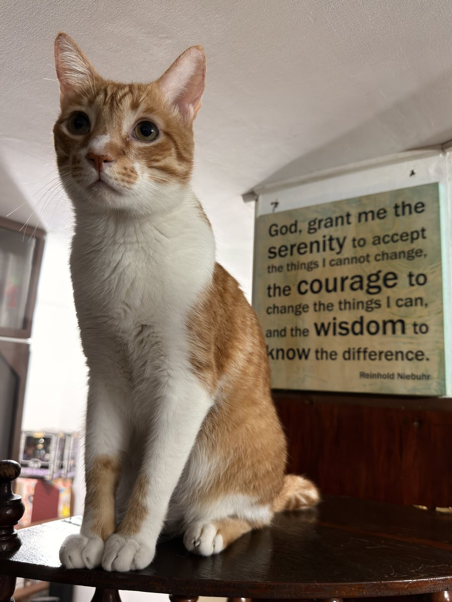 scalizo_art's tweet image. good night