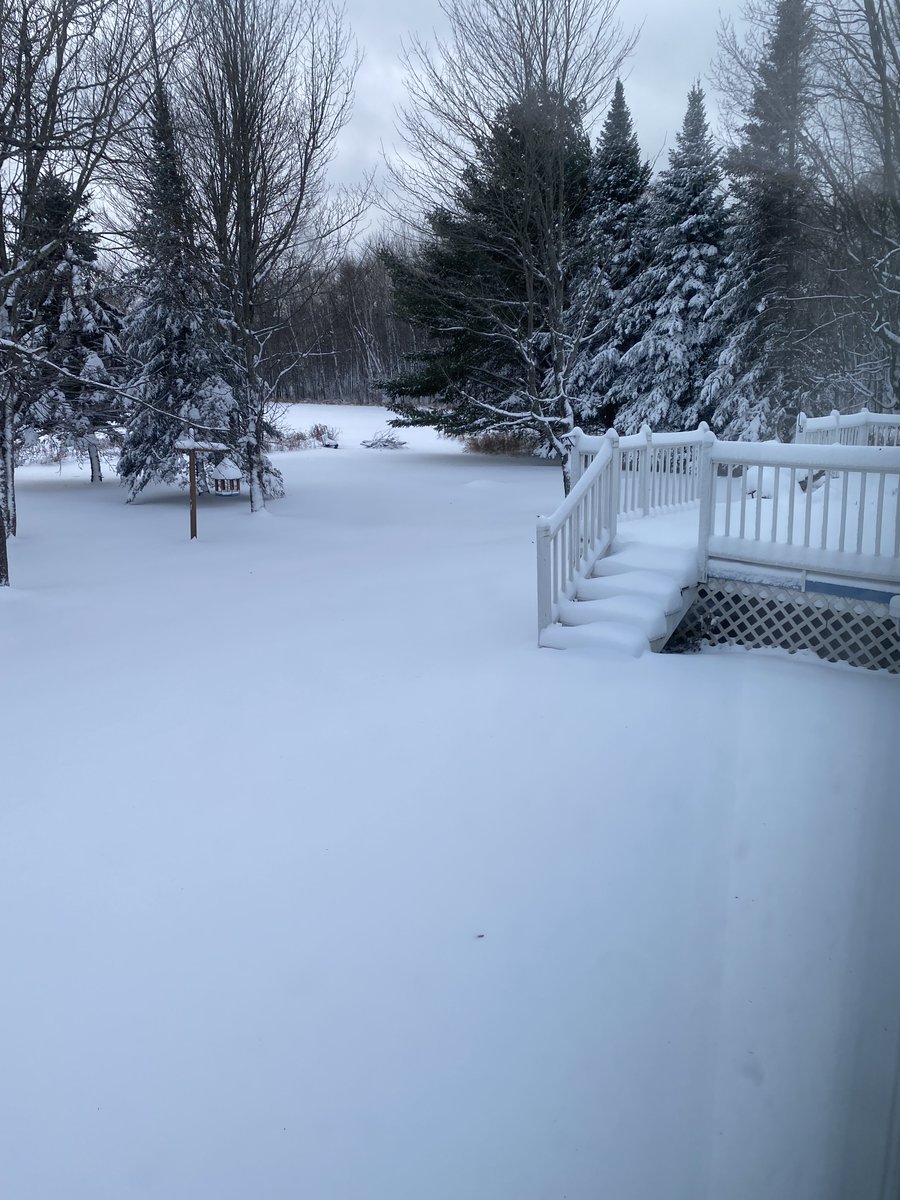 Chicago_Daisy's tweet image. First snow of the year.  9 inches