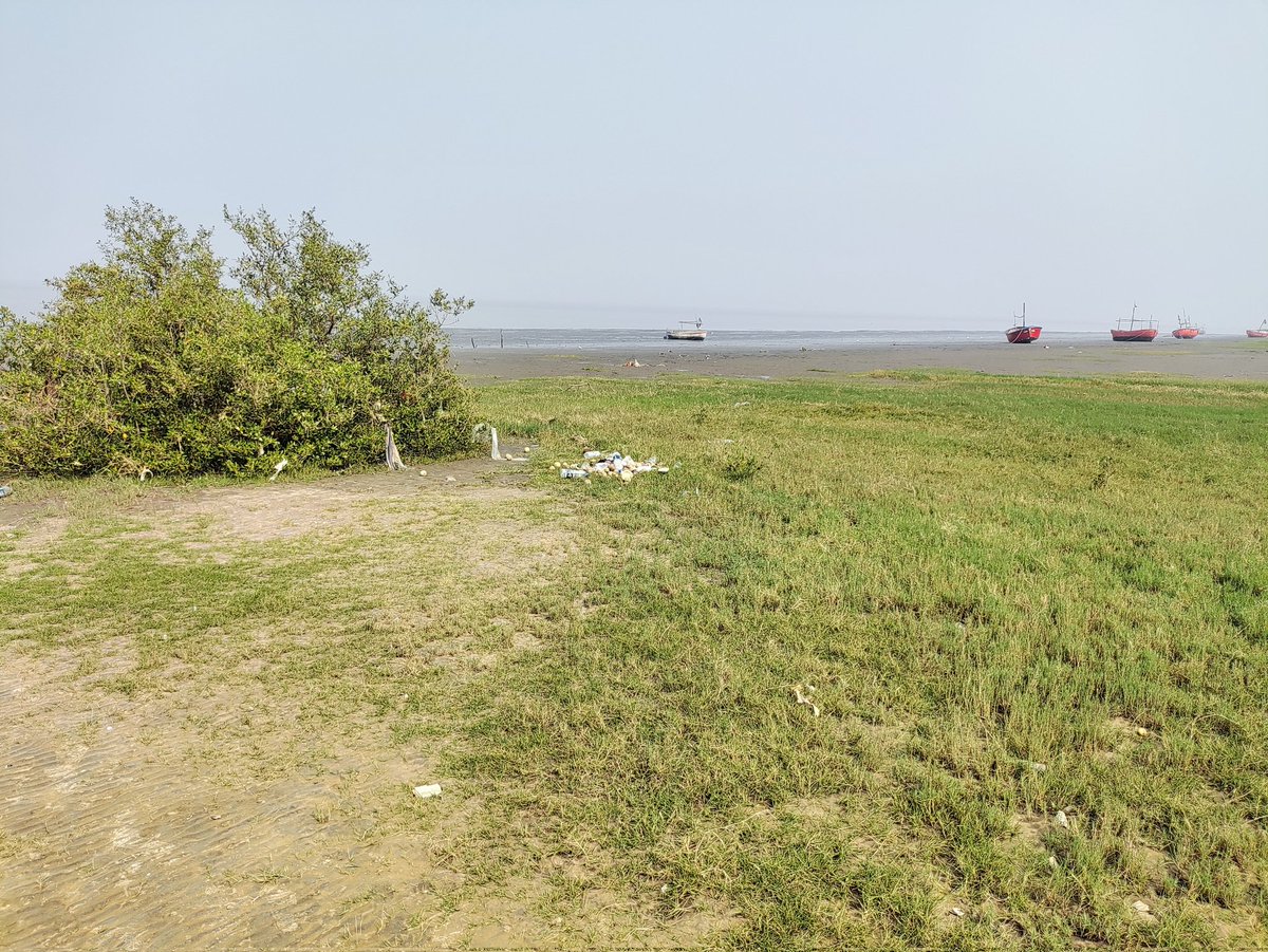 devloper_hs's tweet image. New place, new adventure!

After a long time, I finally took a day off from busy work and spent it with my parents,  exploring a few new spots.

They genuinely enjoyed the calm - a  break far from the city’s usual chaos.

Sometimes you need these quiet spots to reset your mind…