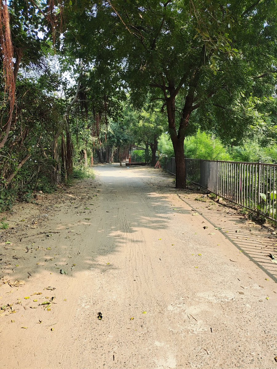 devloper_hs's tweet image. New place, new adventure!

After a long time, I finally took a day off from busy work and spent it with my parents,  exploring a few new spots.

They genuinely enjoyed the calm - a  break far from the city’s usual chaos.

Sometimes you need these quiet spots to reset your mind…