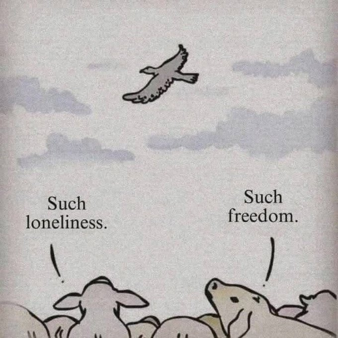 Aunter07's tweet image. Let’s take a closer look at @edgeX_exchange , its an exchange built to combine speed, flexibility and full user control. Unlike traditional exchanges where funds are held by a central authority, edgeX allows you to trade directly from your wallet, keeping custody of your assets…