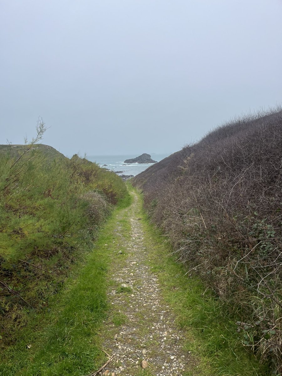 Will 〓〓💙 tweet media