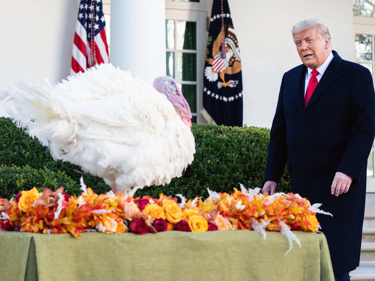 ChillaryC's tweet photo. BREAKING: Pardoned Turkey appointed to Trump Cabinet; Trump hails “very smart guy, and trust me I know smart” https://t.co/mrzfIwiL9p