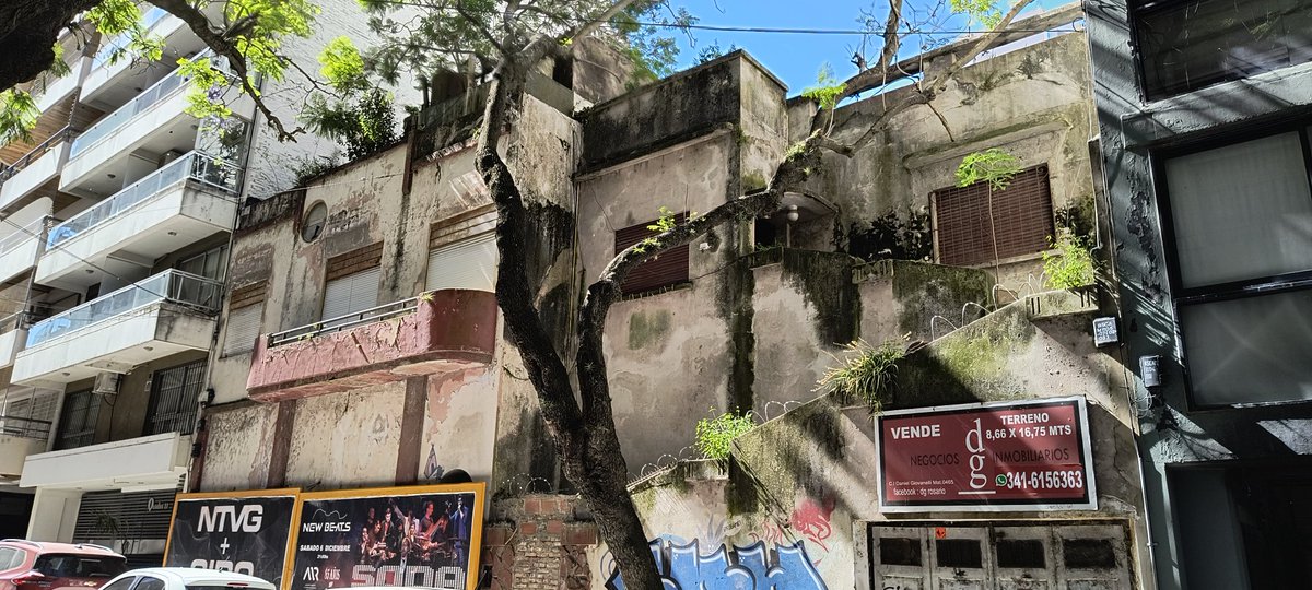 CalleDeRosario's tweet image. #EdificiosAbandonados #Rosario
Ayacucho 1300
Santa Cruz 300
@emergenciasAR