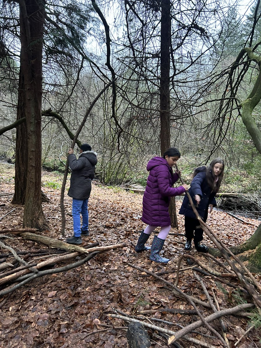 Delta Mersey Year 6 tweet media