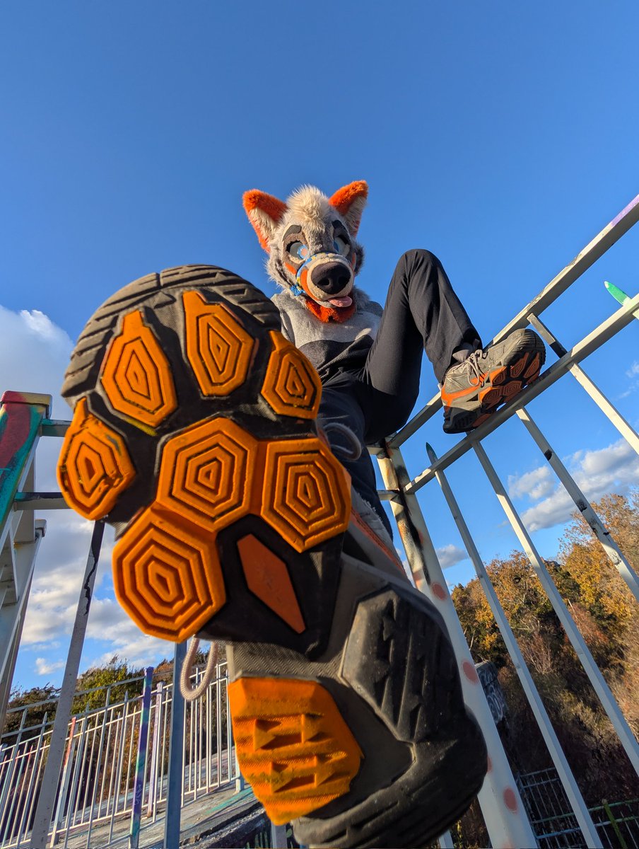 PartDoggo's tweet image. Yeah you like paws don&apos;t you 😼