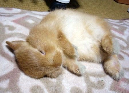 Bunnies's tweet photo. https://t.co/wDoqrOdytZ