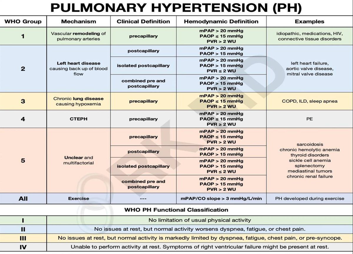 sr03xm's tweet image. -Probably type 4 CTEPH( chronic thromboembolic pulmonary hypertension)
-embolectomy if embolism (by bypass dacron graft??)or endarterectomy