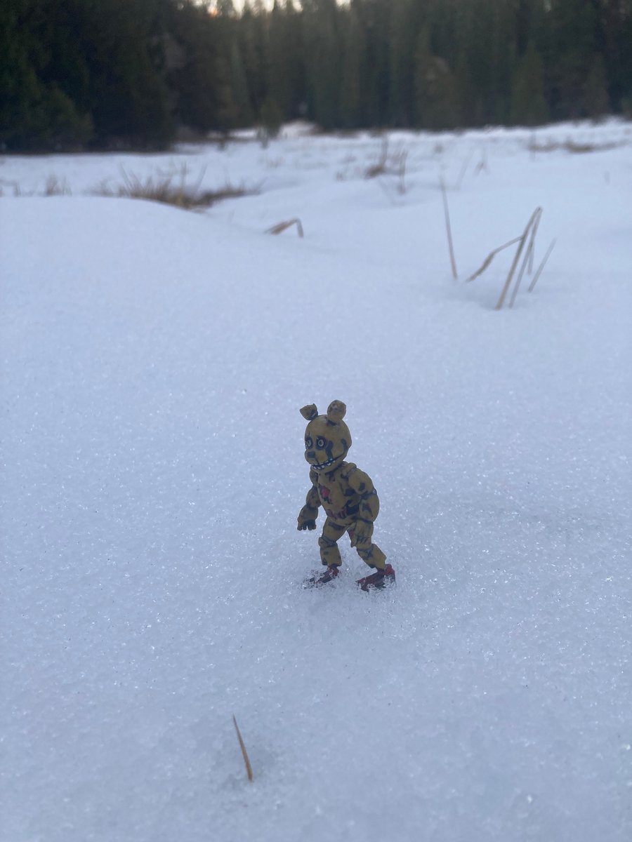katmations68360's tweet image. More snow shots. His ear broke because it got stretched too many time. #fnaf #Springtrap