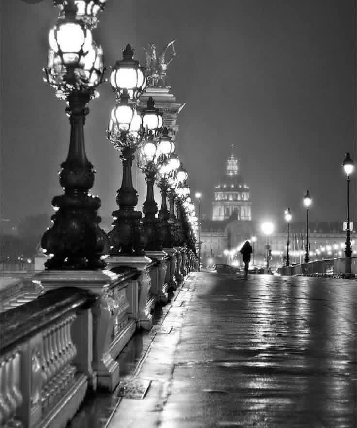 Pont Alexandre lll, nuit pluvieuse. 
Paris.