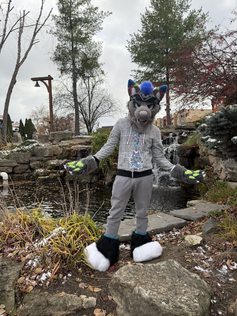 Who wants to go on a hike? 😌💙

📸: <a href="/PackerDog30/">Packer 🔜 ANE, NFC, LVFC, FWA</a> 

#furry #fursuit #furryfandom