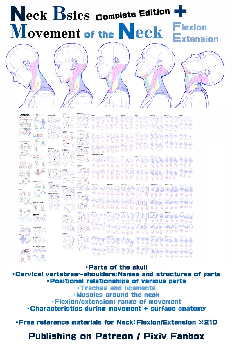 MangaMaterials2's tweet image. PERSONAL NOTE: trapezius muscle

Neck basics＋Movement of the neck: Flexion/Extension
Patreon
patreon.com/posts/neck-bas…
FANBOX
mangamaterialsen.fanbox.cc/posts/1083637

Neck: Summary of the Common mistake
Patreon
patreon.com/posts/37584464
FANBOX
mangamaterialsen.fanbox.cc/posts/1083664

#arttutorial