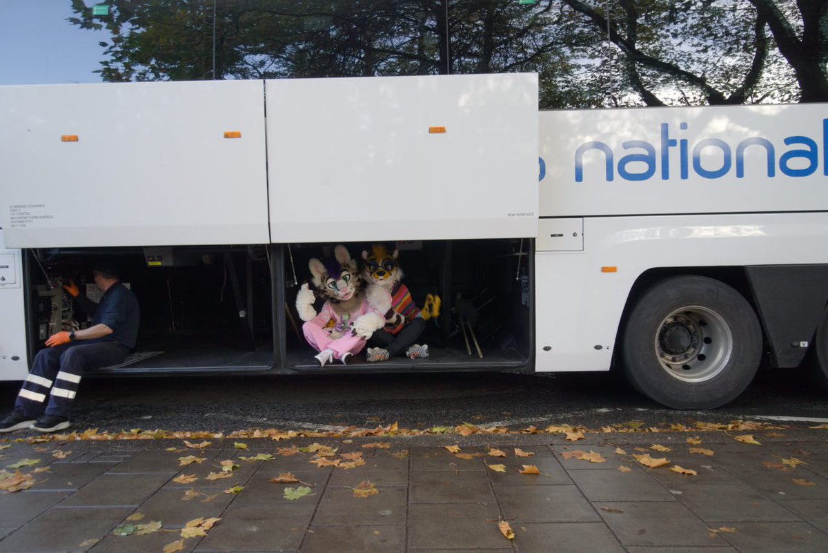 Servalot's tweet image. BUSSIES IN THE BUS @GooseberryFool
where will they be shipped off to !?!?!