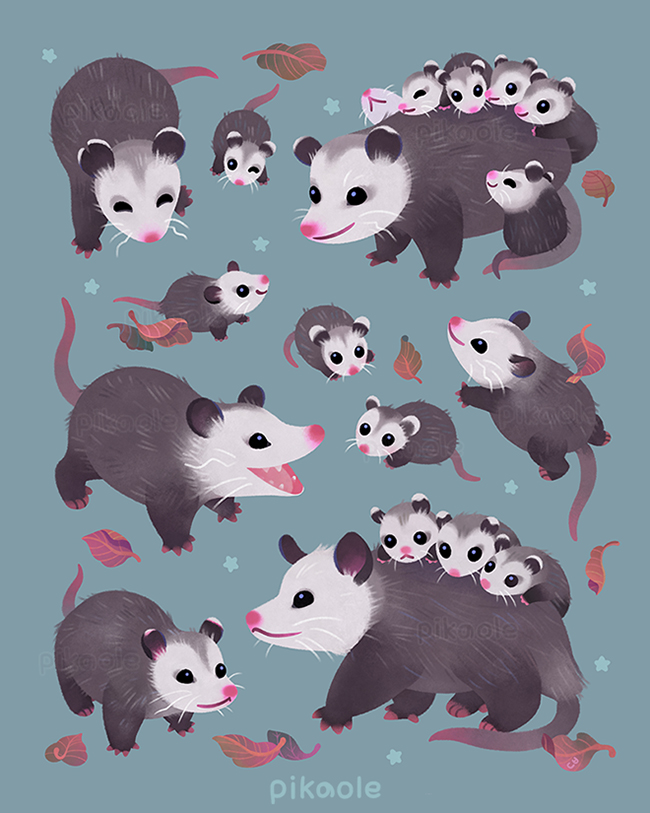pikaole's tweet image. Happy possum