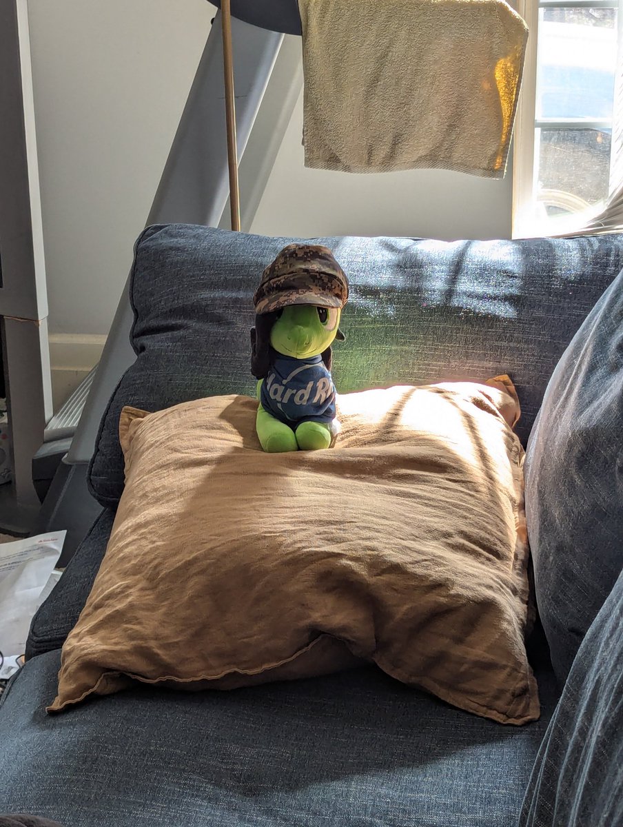 Somebodyaswell (@somebodyaswell) on Twitter photo 