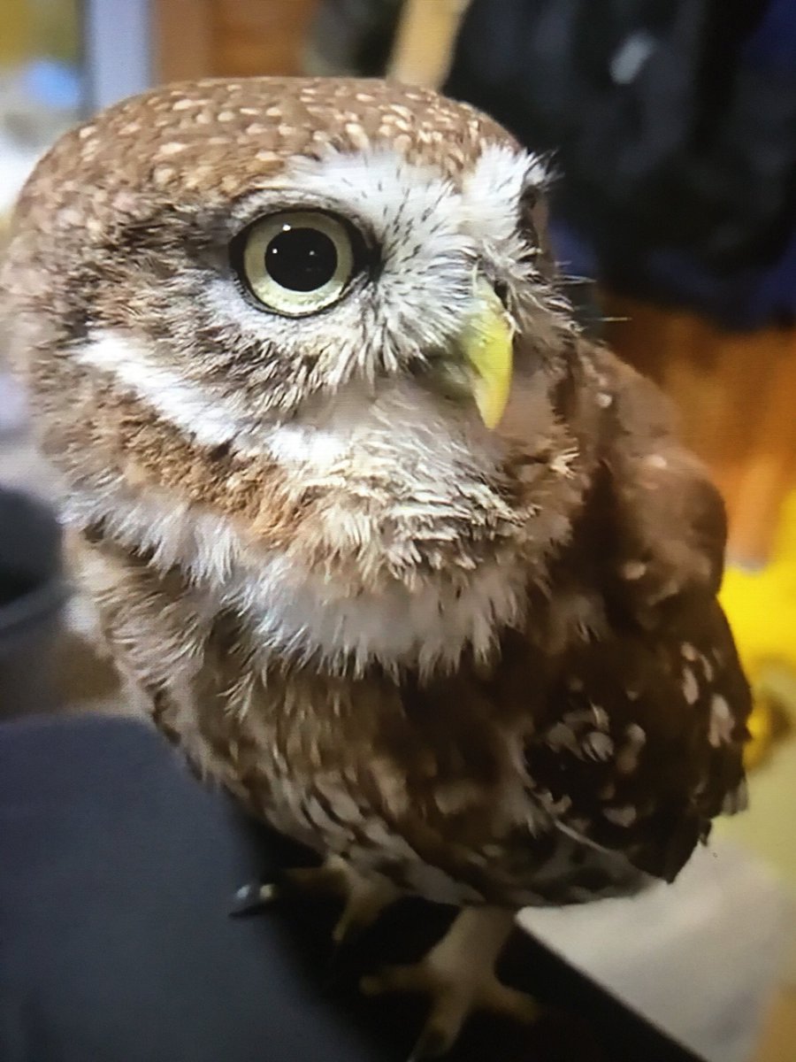 1mraught's tweet image. 