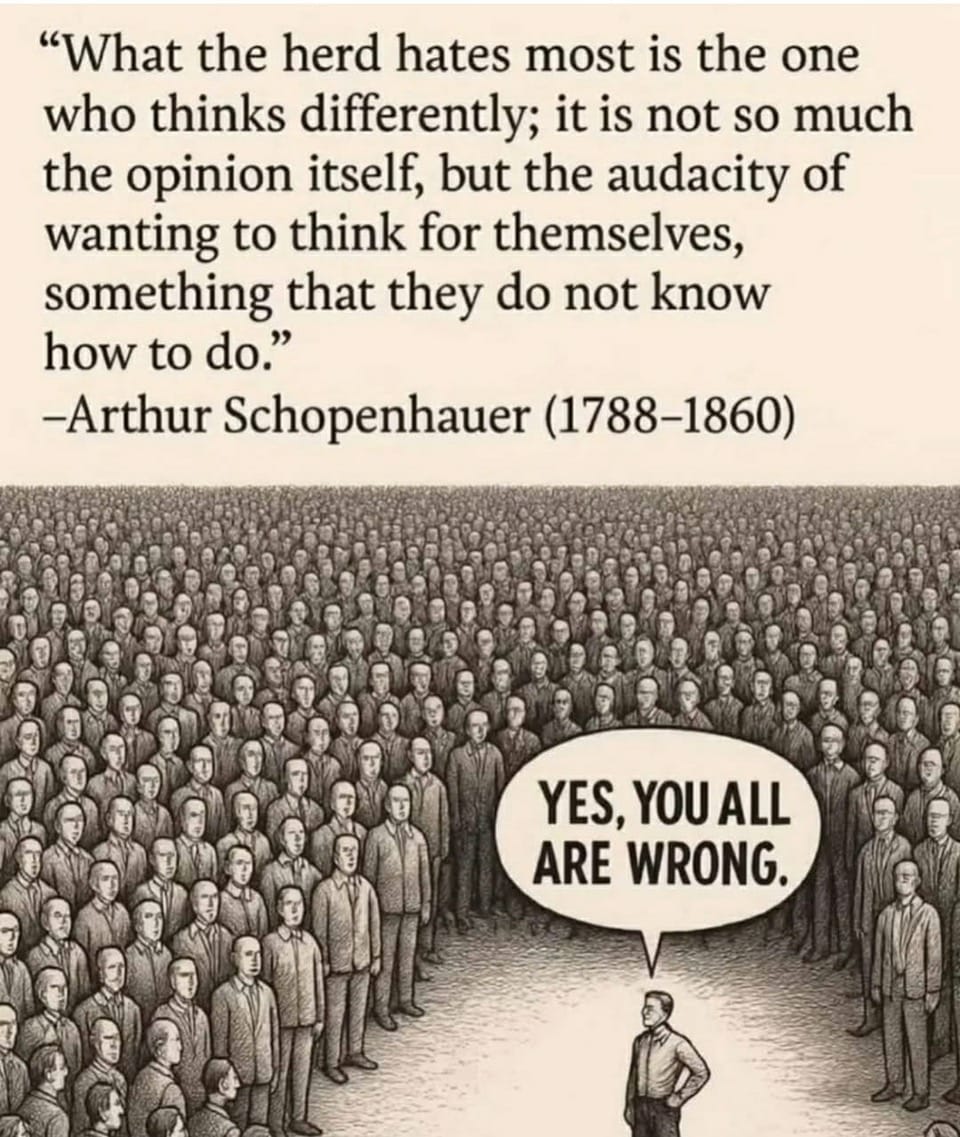 ThriveMovement's tweet photo. In our society, most are indoctrinated through government schools into a collectivist mentality designed to limit the individuated mind. At https://t.co/sSdMFJ2n4F we celebrate those who break from the herd and follow their own path.

#thrive #freetothrive #blog #currentevents #subscribe #history #spirituality #freeenergy #torus #economics #politics #freedomportal #conspiracy