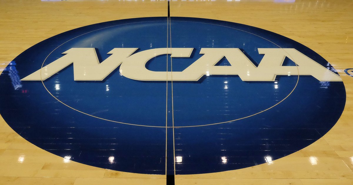 RainmanPicks's tweet image. MAKING IT RAIN ON THOSE BOOKIES!!

Grab that #NBA/#NCAAB Season Pass!!!

4-1 +$3,400 last night

Profit made 5 of the last 6 days, heating up once again!

SIGNUP HERE:
whop.com/rainmanpicks