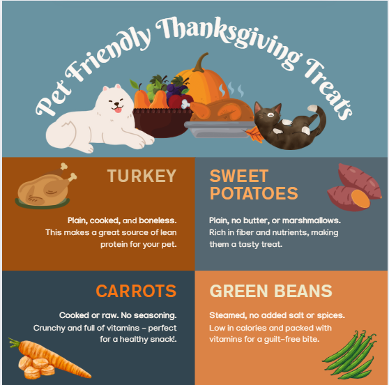 ChastainVets's tweet image. Some Thanksgiving treats are paw-approved 🐾 Others, not so much. See which holiday foods are safe for pets and which to keep off their plates this season! 🍽️ #ThanksgivingPets #PetSafety #PawApproved