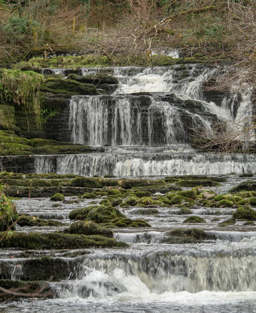 ThisIsIreland3's tweet image. 📍Fowleys falls, Rosinver in Co. Leitrim 🏞️🌊☘️

📸 Alan Malone 

#Ireland #waterfalls #naturelovers #outdoors #river #leitrim