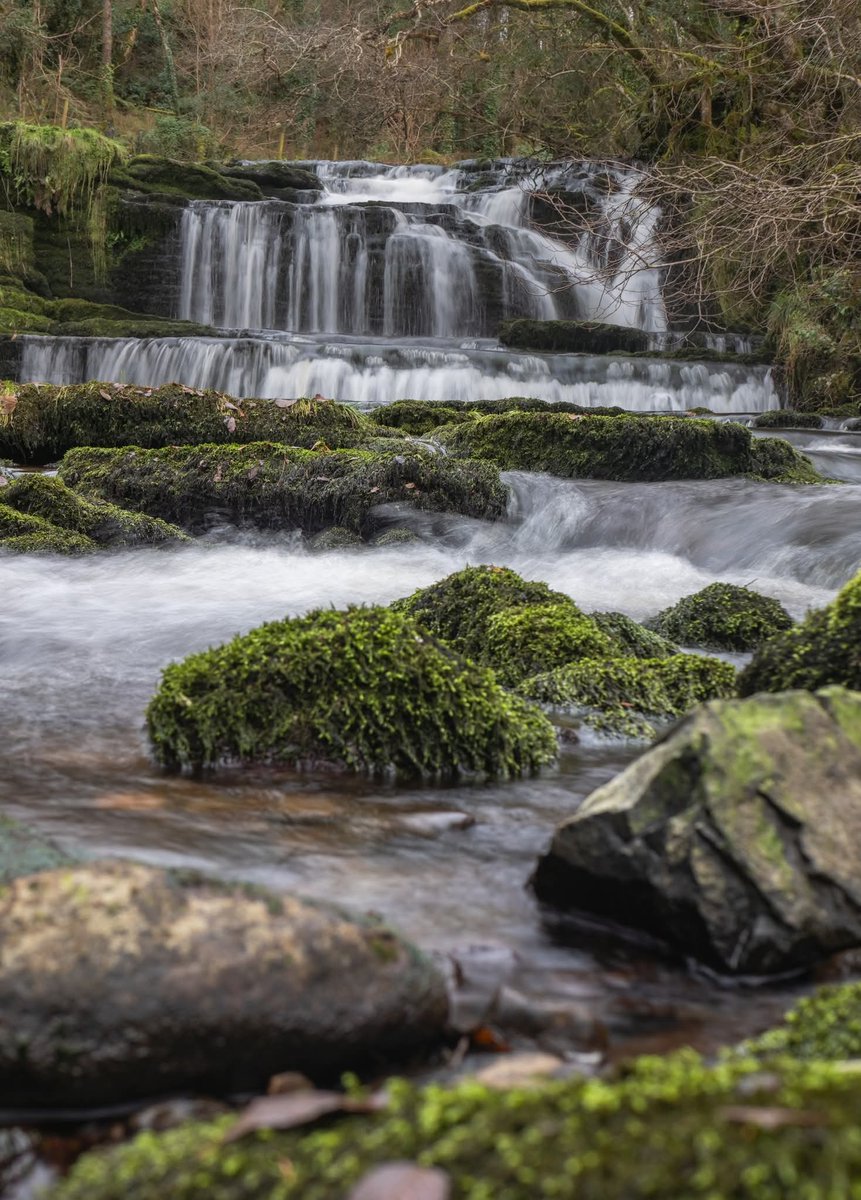 ThisIsIreland3's tweet image. 📍Fowleys falls, Rosinver in Co. Leitrim 🏞️🌊☘️

📸 Alan Malone 

#Ireland #waterfalls #naturelovers #outdoors #river #leitrim