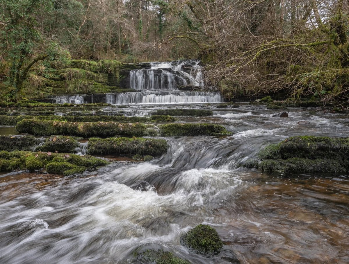 ThisIsIreland3's tweet image. 📍Fowleys falls, Rosinver in Co. Leitrim 🏞️🌊☘️

📸 Alan Malone 

#Ireland #waterfalls #naturelovers #outdoors #river #leitrim