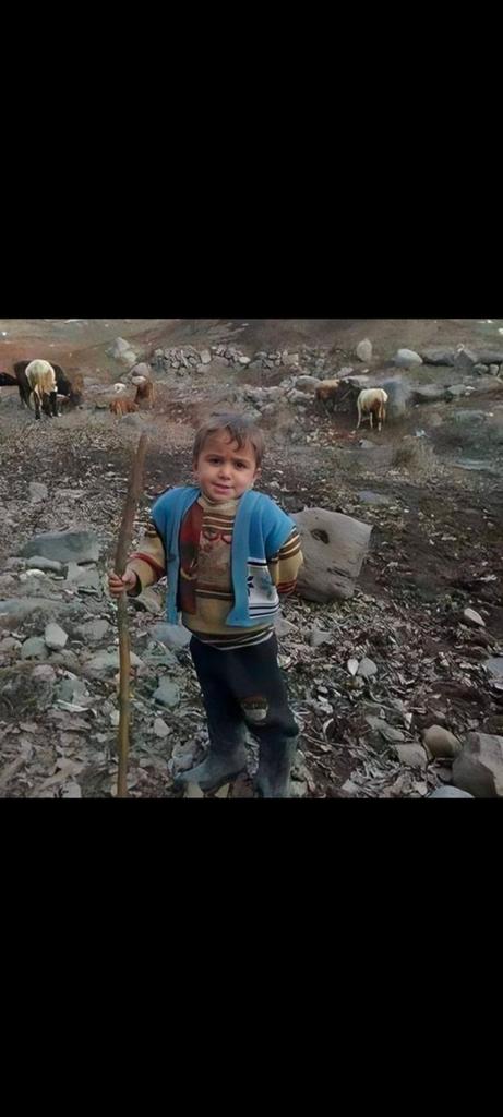 "Turkey Android App"