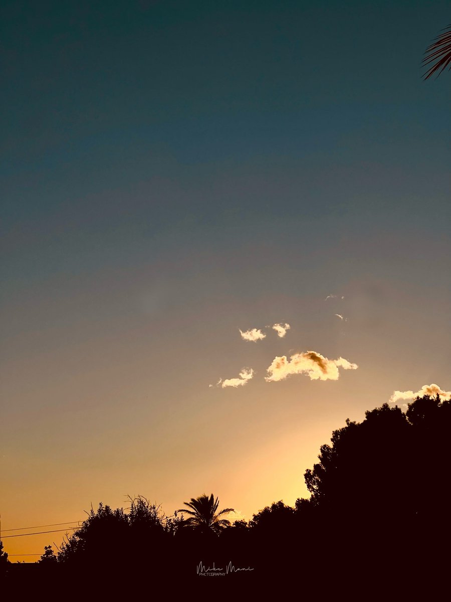 Mike Mani Foto 📸🕉️☀️ tweet media