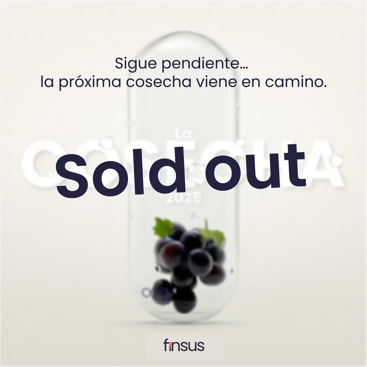 Hoy cerramos la cosecha.
Gracias a quienes fueron parte de esta temporada.
Pero esto no termina aquí… mantente pendiente, una nueva cosecha viene en camino. 

#Finsus #FinanzasTransparentes