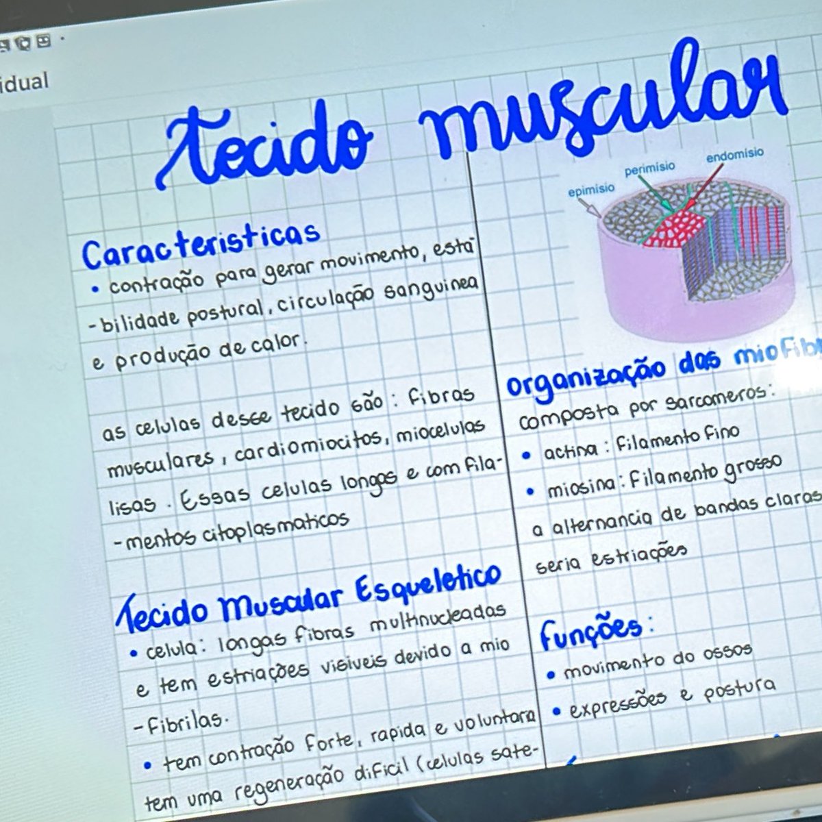 studysegalla's tweet image. study with me 🌷— 26/11/2025

• Hoje estou passando a limpo, que nem meu metodo de estudos que falei pra vocês! Tenho prova dia 03/12, além de ter um trabalho para entregar dia 28/11