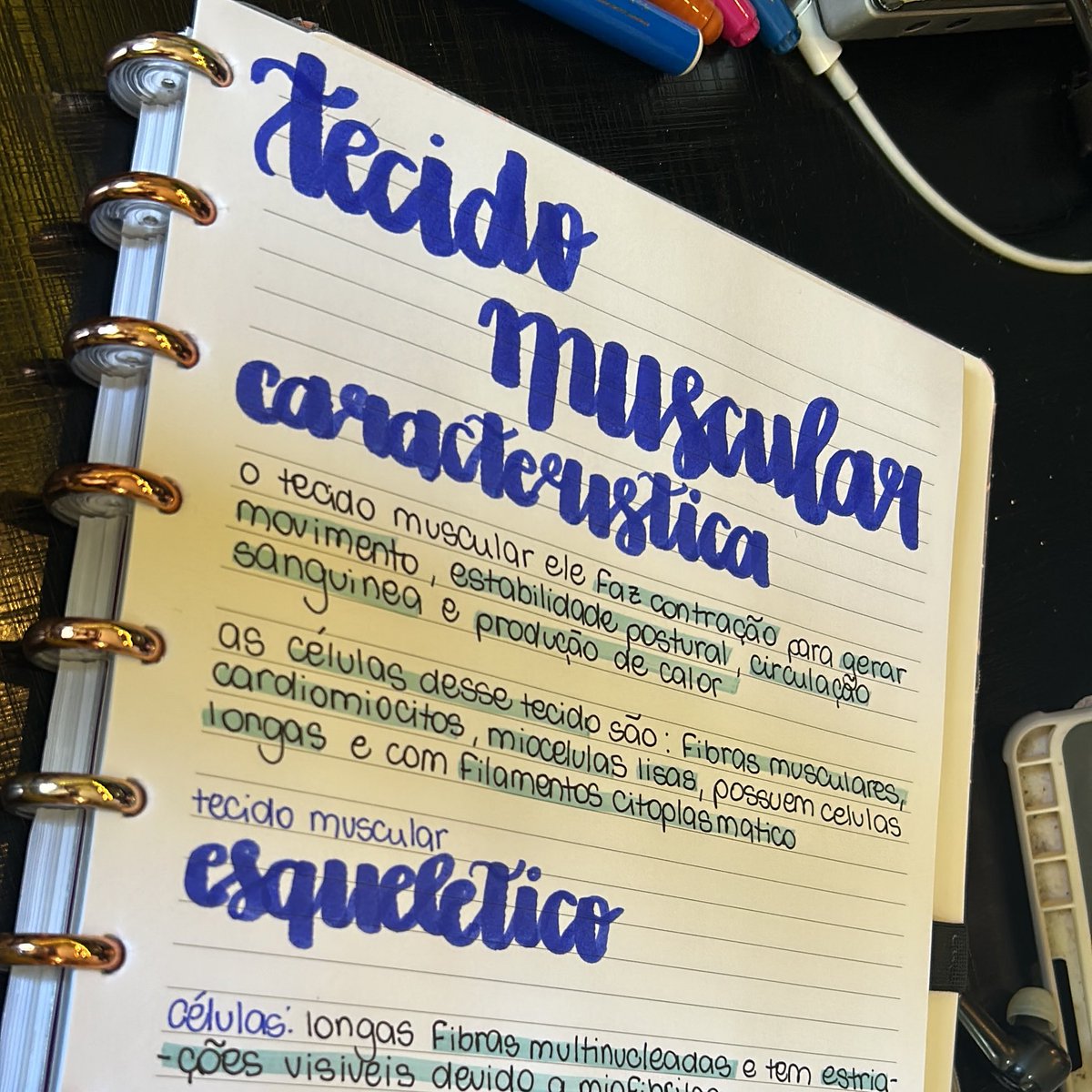 studysegalla's tweet image. study with me 🌷— 26/11/2025

• Hoje estou passando a limpo, que nem meu metodo de estudos que falei pra vocês! Tenho prova dia 03/12, além de ter um trabalho para entregar dia 28/11