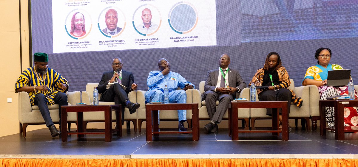 “The #AfCFTA presents a unique and transformative opportunity to reposition Africa’s leather sector. By harmonising standards, enhancing quality and market integration through simpler rules of origin for the leather sector, we can create a unified and competitive continental