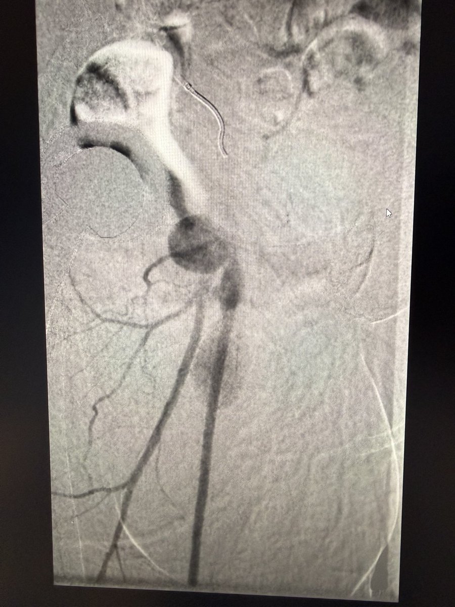 Harris Chengazi tweet media