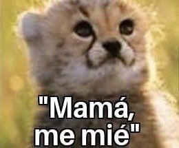 AVISAAA MI FORTAAA PEGA EN EL PALO EL REMATE DE EMILIO ARISTIZÁBAL Y GAL DE ARROYO EN EL REBOTE QUE ANULAN POR FUERA DE JUEGO

4’ #BucaramangaXForta 0-0