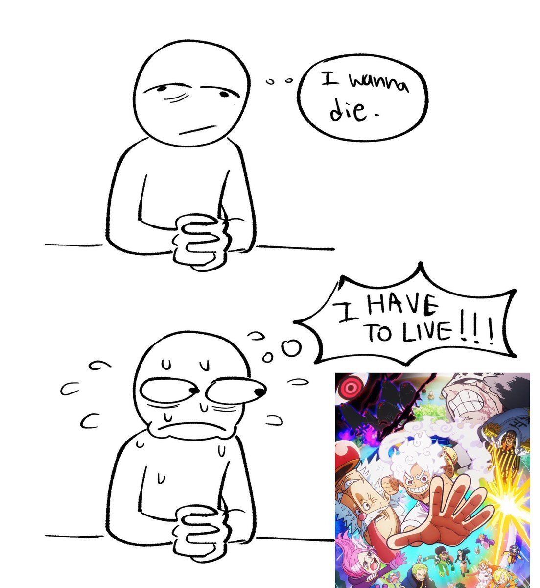 One Piece Daily tweet media