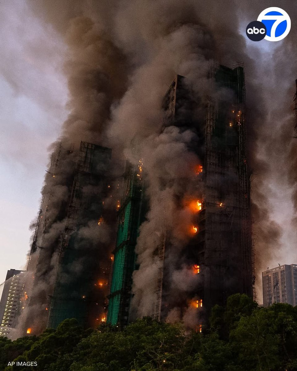 Kutsal Dogan tweet media