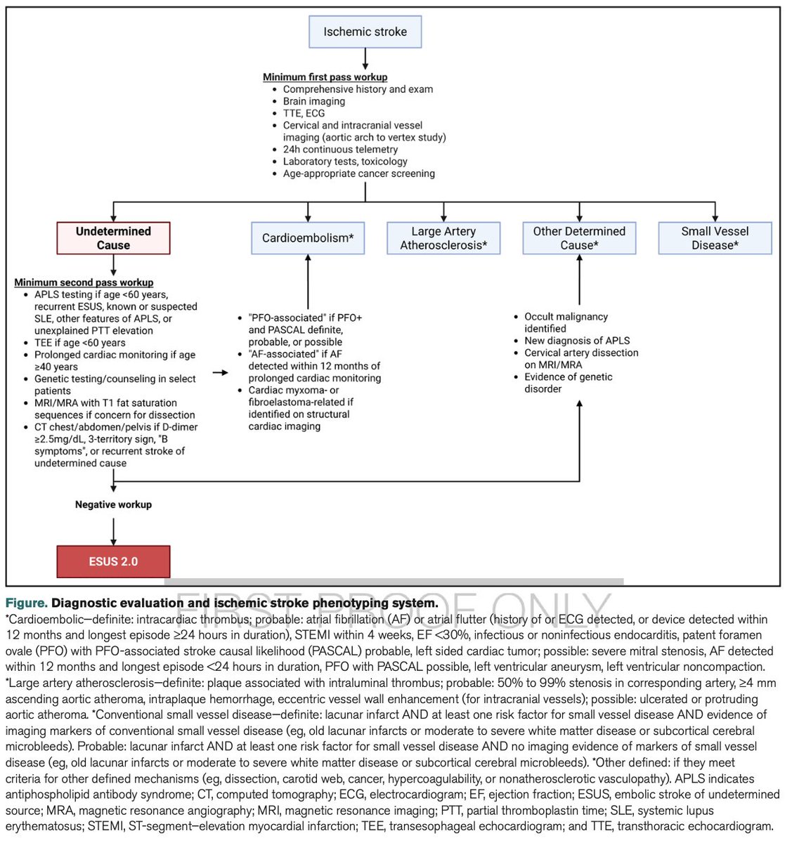 CarlosJMoreno_'s tweet image. ISPS25: Nueva propuesta para la clasificación etiológica del infarto cerebral.

Stroke. 2025;56:00–00.