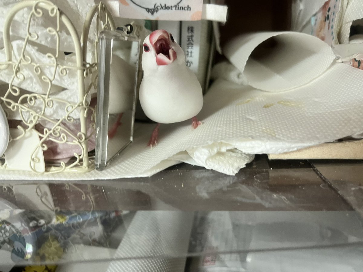 ぽんきち。 (@jponkichi) / Posts / X