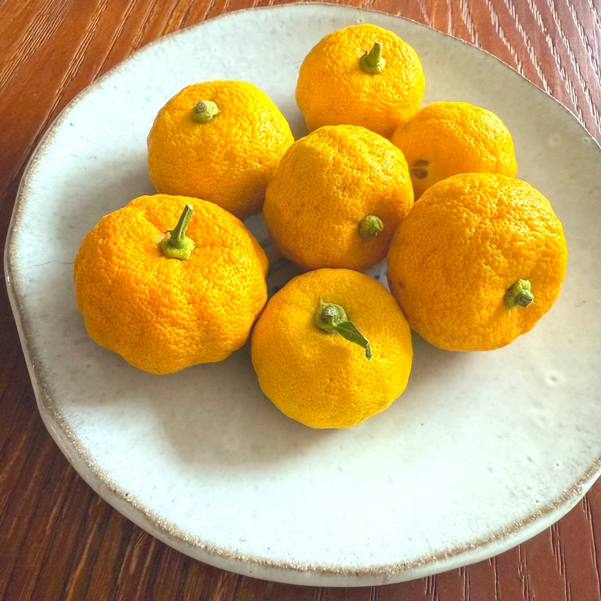 pipipi2828's tweet image. ミニミニサイズの柚子を手に入れたので、薄く輪切りにしてたっぷりの蜂蜜で漬けたらとても幸せな香りの幸せな食べ物になりました、少ししか無いから食べすぎちゃダメなのわかってるんだけど甘くてすっぱくて良い香りで本当に幸せ……