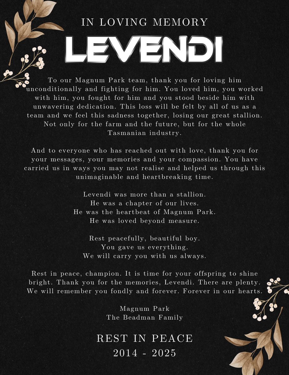 Today we share the heartbreaking news of Levendi’s passing. A champion on the track and a loved member of our farm. Our full tribute is below. 💚🐎