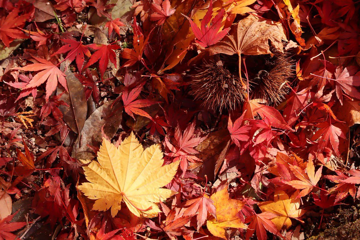 🌈☀️11／27おはさち〜🌺🌈

┳┻|
┳┻|_∧
┻┳|･ω･)✨️苦手な人は
┳┻|⊂ﾉ
┻┳|

┳┻|
┳┻|_∧
┻┳|･ω･)
┳┻|    ﾉつ ほんま関わりたくない
┻┳|Ｊ

┳┻|
┳┻|_∧
┻┳|･ω･)ﾎﾟｲ⌒ 🌀🌀
┳┻|     ﾉつ
┻┳|Ｊ       
🌱🌱🌱🌱

本垢も宜しく☺️︎
<a href="/sachi12617/">さち🌻</a>

#お友達募集中