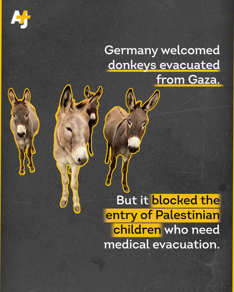 ajplus's tweet image. Germany has welcomed at least 8 donkeys evacuated from Gaza.

But it is delaying the entry of Palestinian children in need of medical evacuation.