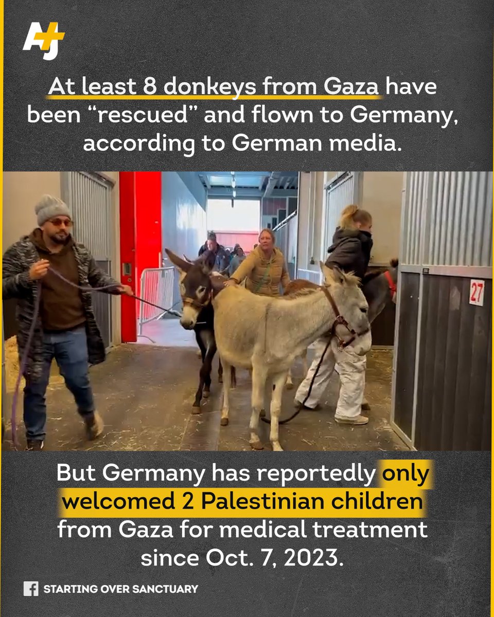 ajplus's tweet image. Germany has welcomed at least 8 donkeys evacuated from Gaza.

But it is delaying the entry of Palestinian children in need of medical evacuation.