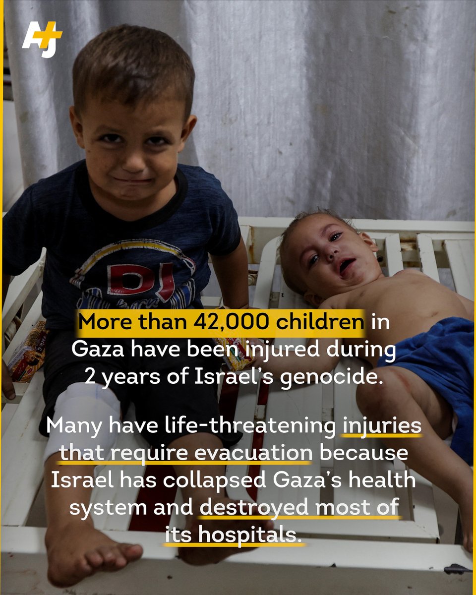 ajplus's tweet image. Germany has welcomed at least 8 donkeys evacuated from Gaza.

But it is delaying the entry of Palestinian children in need of medical evacuation.