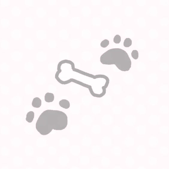 _eminann's tweet image. :¨·.·¨:
 `· . 𐔌  #promotwt  ꒱ ۫
◞◜˚̣̣̣ ྀི ། ͝ ⠀ ⠀emi ╱ arte  𐂯  he ╱ she    ⟡      　
⠀　    　︶֪︶　yi  xi  riako  
    ♡   selective sharing  𓏵  ᜊ( &amp;gt;  ̫ &amp;lt; )ᜊ
⠀⠀　 　 ິ    basic dni  ✚  ifb most
♡̶༏ིྀ ᛝ #yumetwt #riakotwt
⠀   ˆᗜˆ  eminyan.straw.page