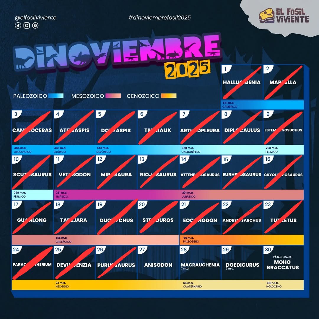 JeremyRengifo2's tweet image. Día 26 del Dinoviembre - Purusaurus
Aunque el nombre sea confuso Purusaurus en realidad fue un género extinto de crocodilianos, no era un cocodrilo gigante, era un caimán gigante
#Art #Digitalart #paleoart #dinoviembre2025 #dinoviembrefosil2025 #elfosilviviente #purusaurus