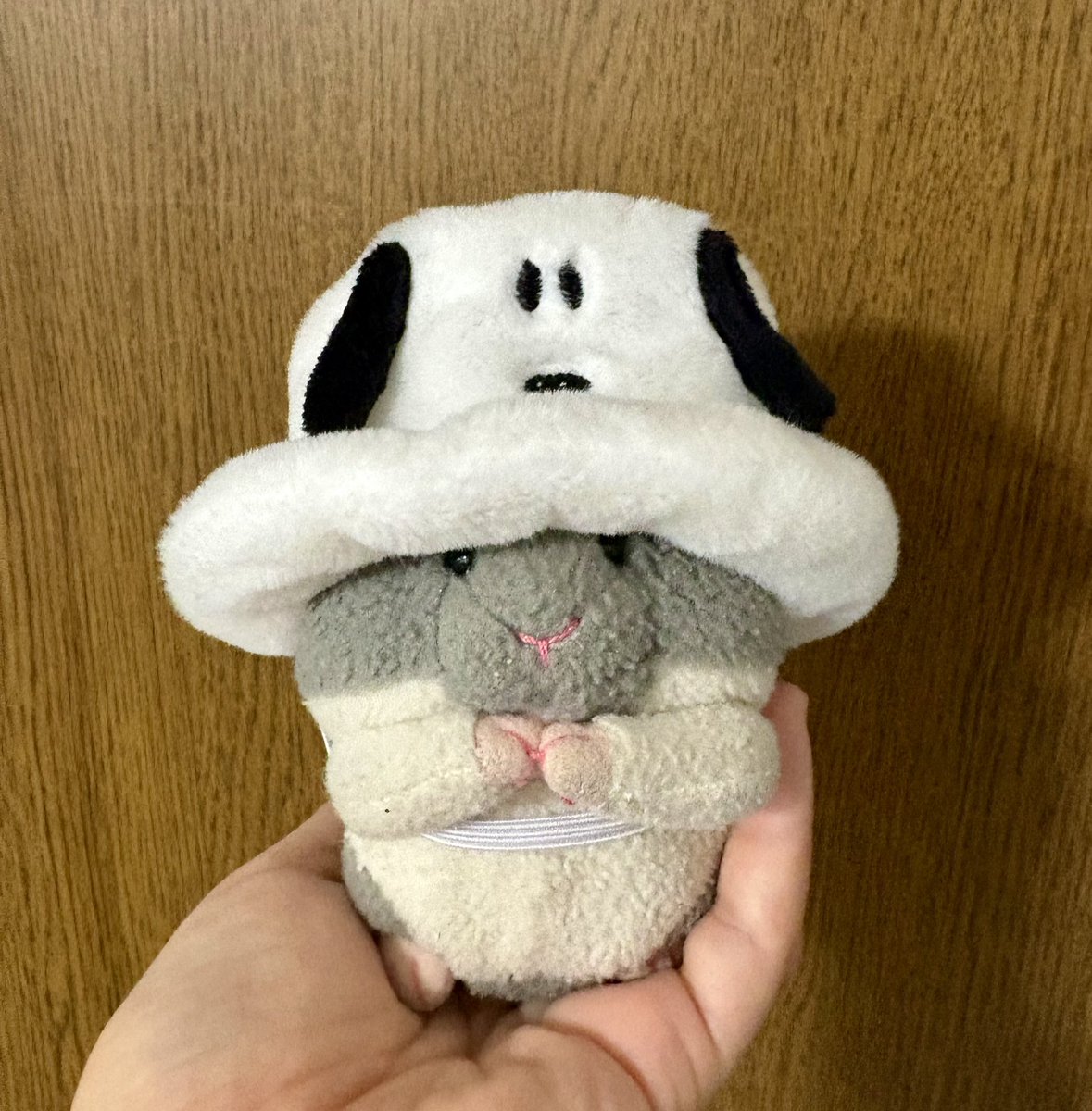 ぴぴちゃん (@pippichaso) / Posts / X