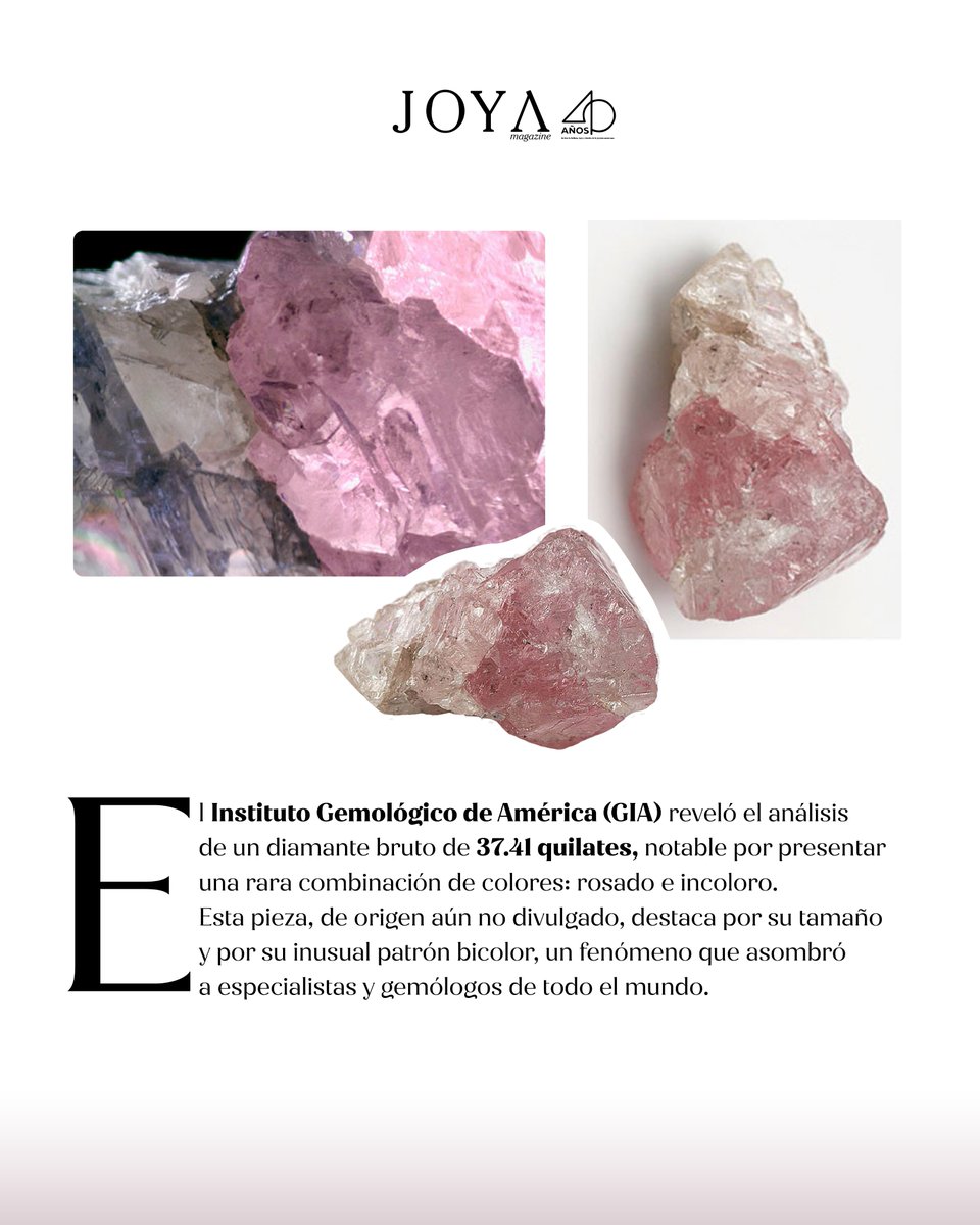 Joya Magazine tweet media