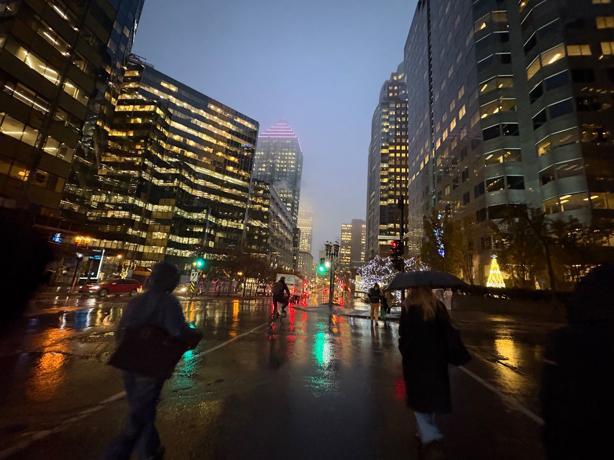 sariverse's tweet image. perfect walk back home