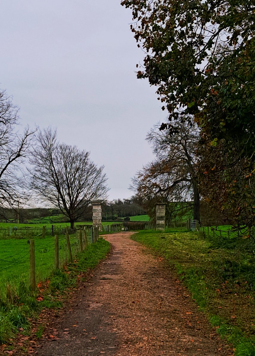 Walking Tess this afternoon, somewhat reminiscent of Thomas Hood's poem, "November".
"No sun — no moon!
No morn — no noon —
No dawn — no dusk — no proper time of day....."
#Dorset  #November #Dogwalking